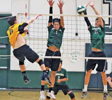 BVB--Lathrop-Manteca pic 1 WEB