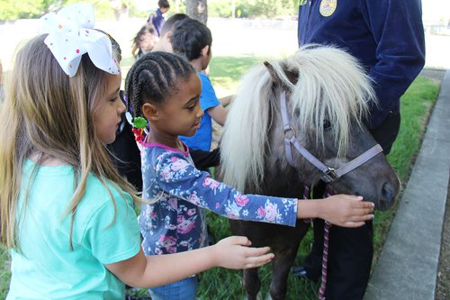 Cunningham ag day pic3