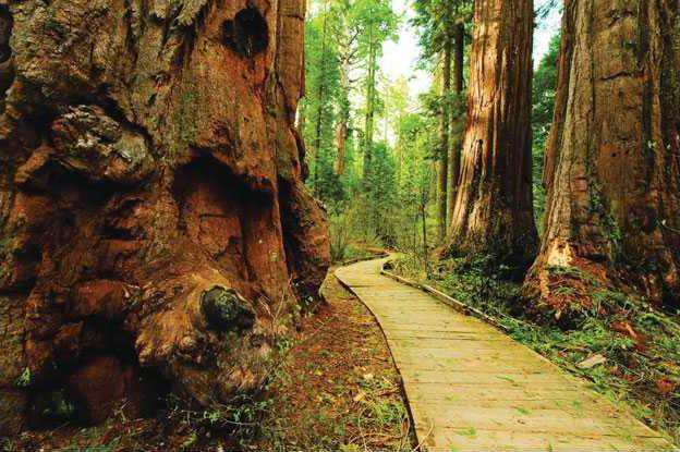 callaveras-trail-page-3-LT