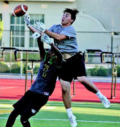 FB--Ripon Summer pic 1