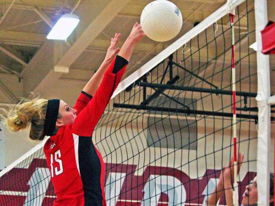 Volly-Rip-Pic-1
