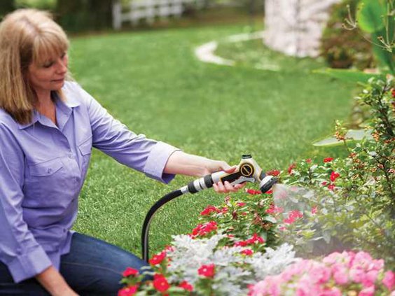 gardenign page 6 copy