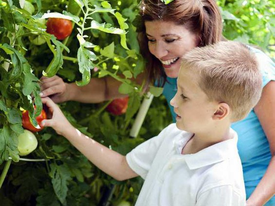 gardening