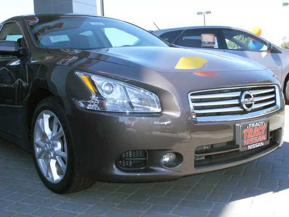 pic tracy-maxima-1