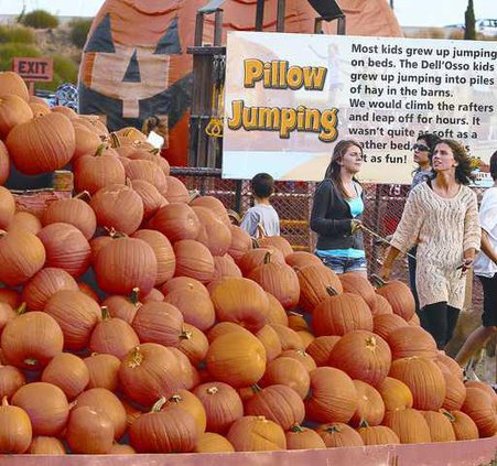 pumpkin1