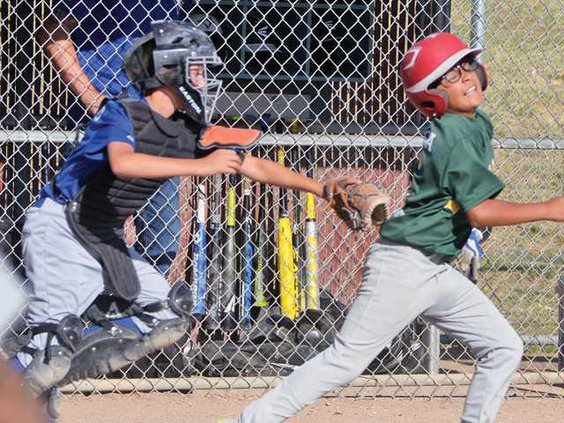 Northgate LL Majors pic 1