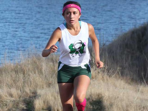 XC--SJS subsection meet file pic