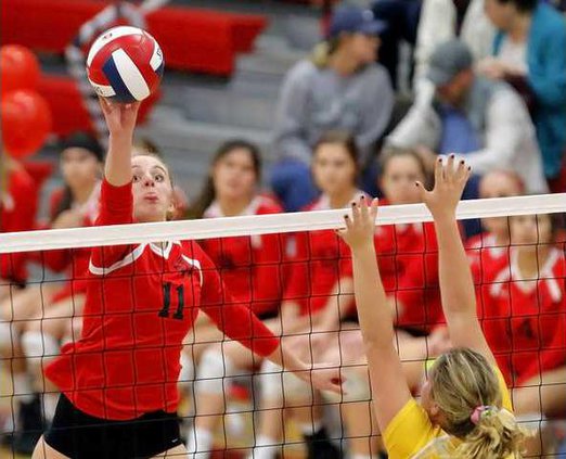 VB--All-Area MVP-McCreath pic