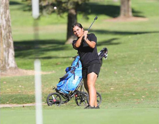 GLF--Lathrop-Sierra pic 1