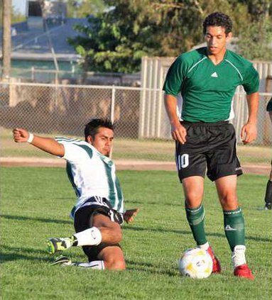 SOCR-Buffaloes-pic-4