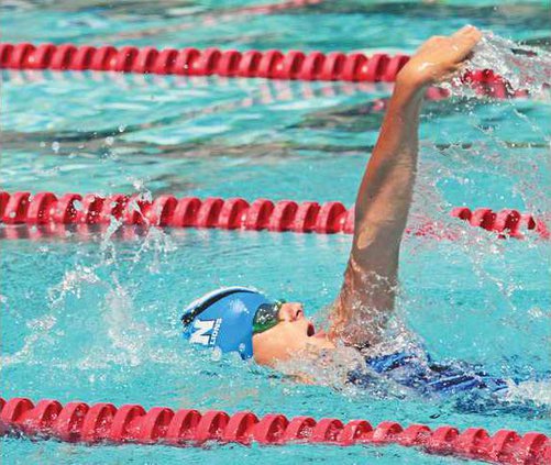 SWM-Ripon-Sea-Lions-1-6-3-LT