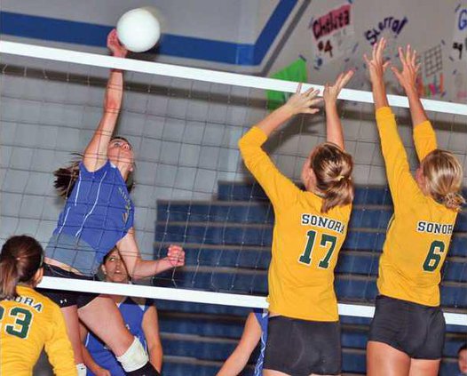 VB-SIE-vs-SON-pic-2