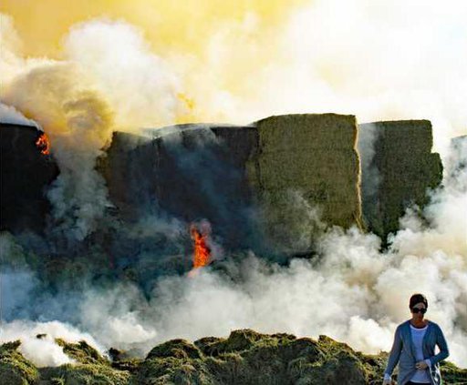 BulletinDairyFire112116 4