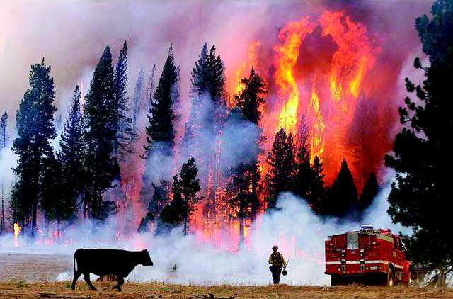 0828 Saddle Club Rim Fire