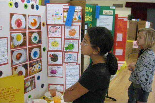 Science Fair Wraps Up Successful Year - Oakdale Leader