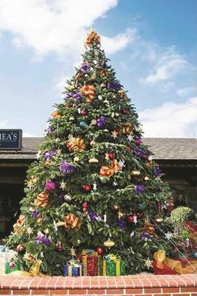 lincoln center resize