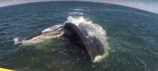 07bc085566c29c4412d32ea95dcad48410c561f497897bfba8ba312b0923bcfb