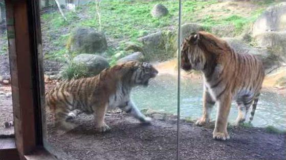 5d3028f3c134b7c8f3e98f390f148dbf828aba10e04c76f04176f7b70f435013