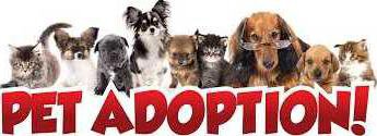 Pet Adoption