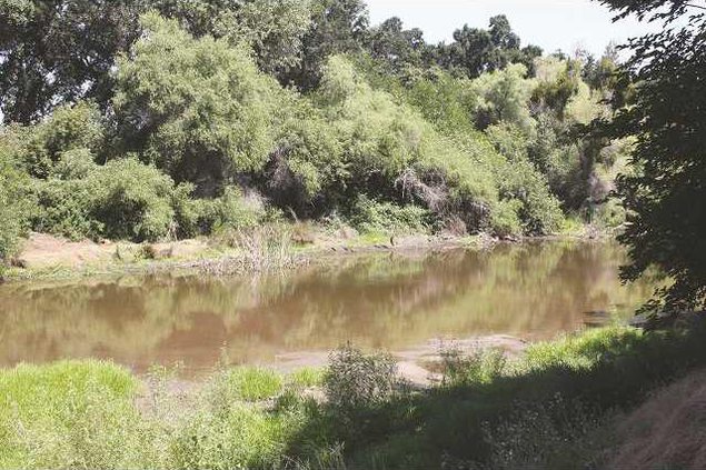 209 fishing pic pg 3 copy