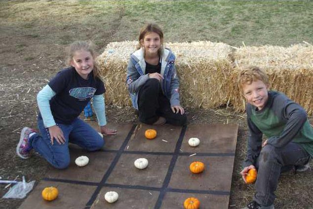 FO Harvest 1