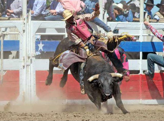 4-17 OAK Rodeo bull3