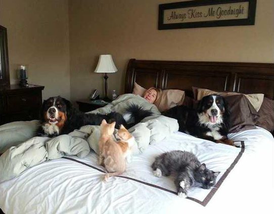 Bedtime