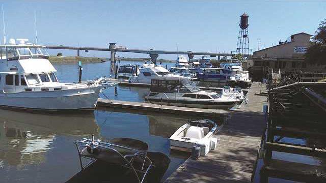 pic terminous 1 n copy