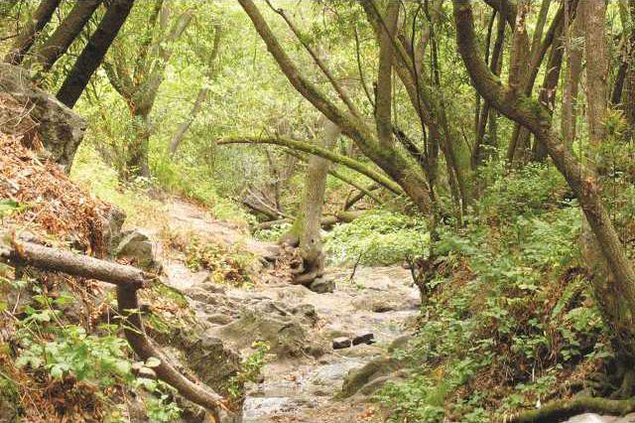 bay area second pg 2 copy resize