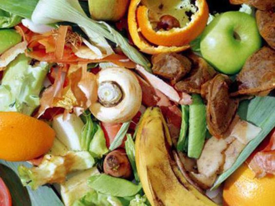 recycle food waste 2ekgy 58gh8