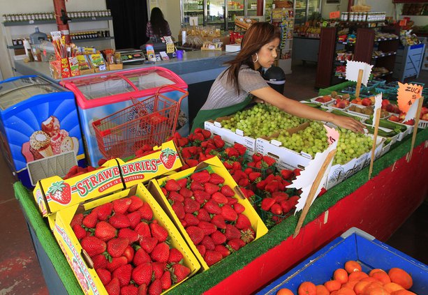 _FRUIT1 6-13-112.jpg