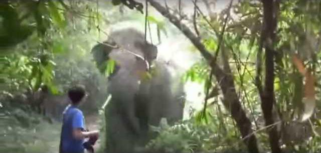 ecb6d13083f27e1dcfc5bc514cf3ef2449854b0649d6af44a0ddac0e9fe323c4