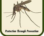 Mosquito Control