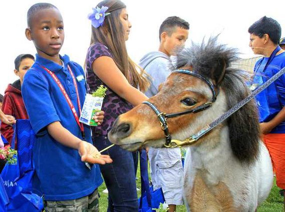 AG DAY GREATVALLEY4 5-8-15