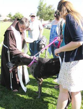 blessing animals pic1