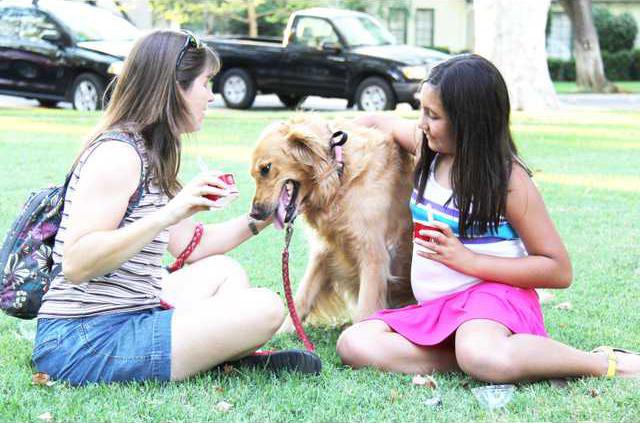 dog event pic1