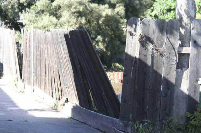 High winds down trees, cut power to local homes - Turlock Journal