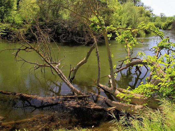 WATER RIVER RIPON3 3-30-15