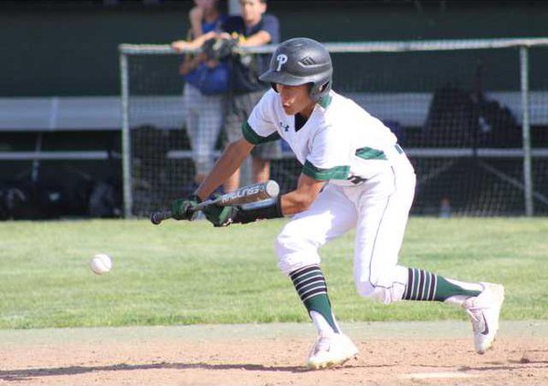 Pitman baseball 2