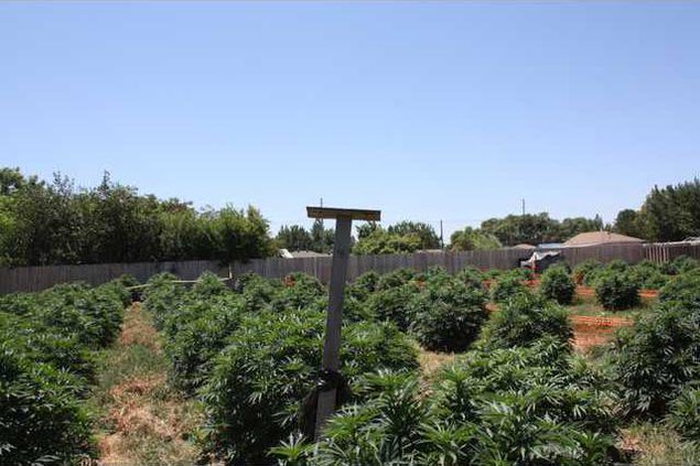 Property of Turlock Police Department