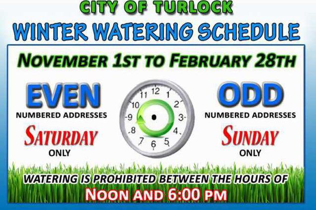 conservation corner pic