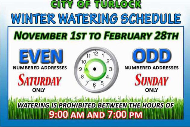 conservation corner pic