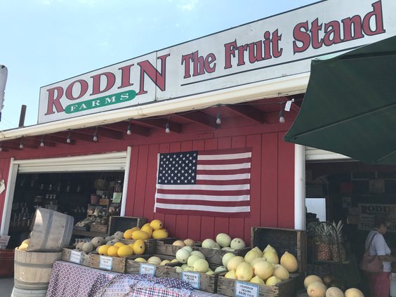 rodin farms