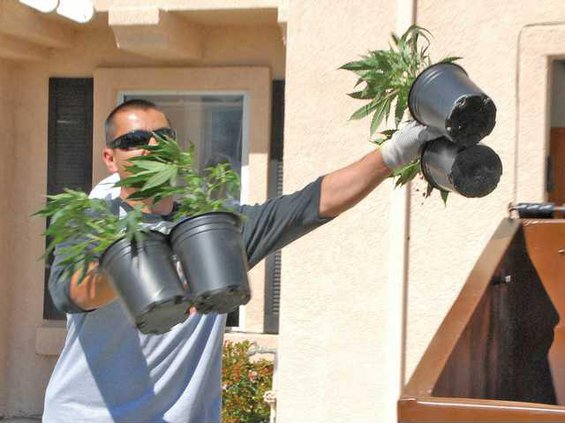 Pot-House--Prim-DSC 3855a