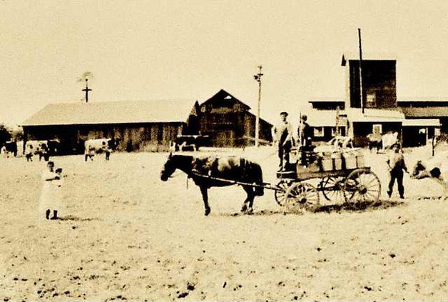 Union Road Dairy Farm about 1913 DSC 1461 copy