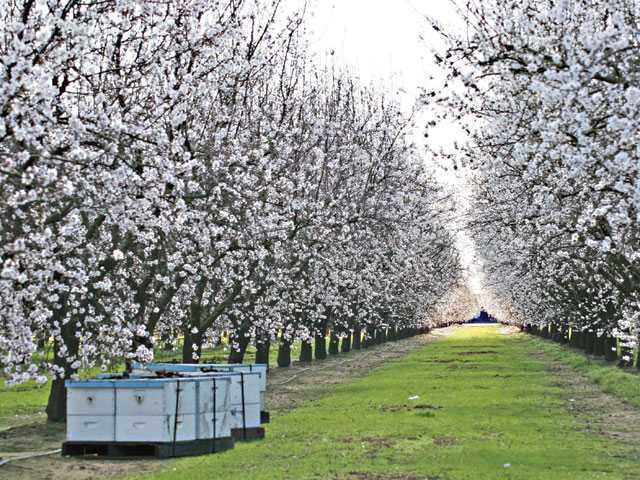 Turlock representatives support Farm Bill
