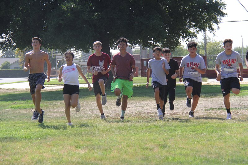 delhi high cross country