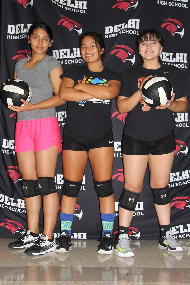 delhi volleyball team