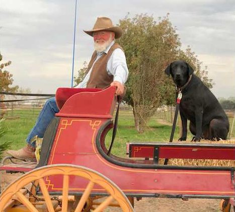 wagon ride