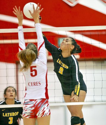 Bulletin volleyball 2018